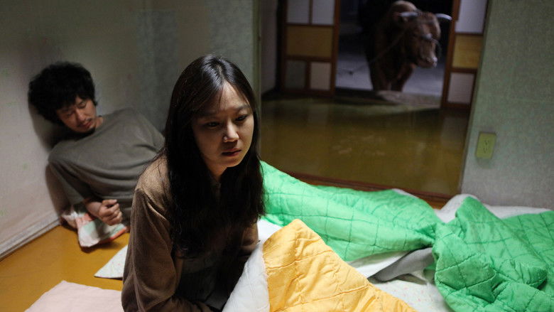 кадр из фильма 소와 함께 여행하는 법