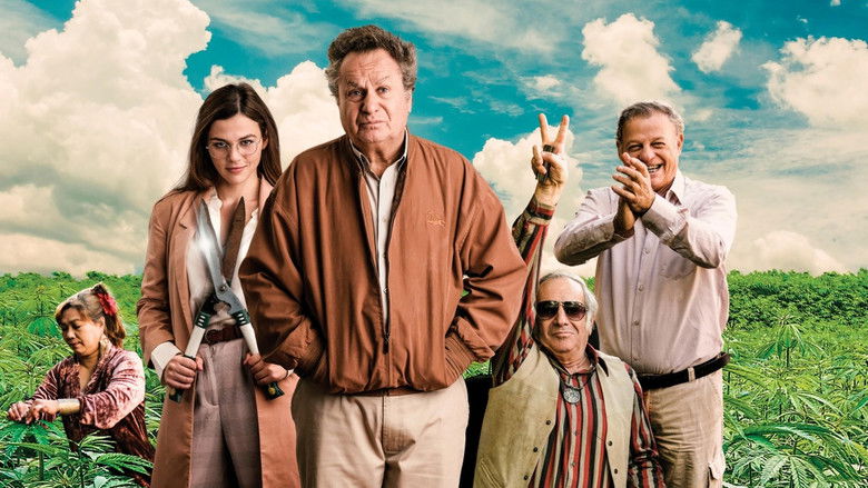 кадр из фильма שאיפה לחיים