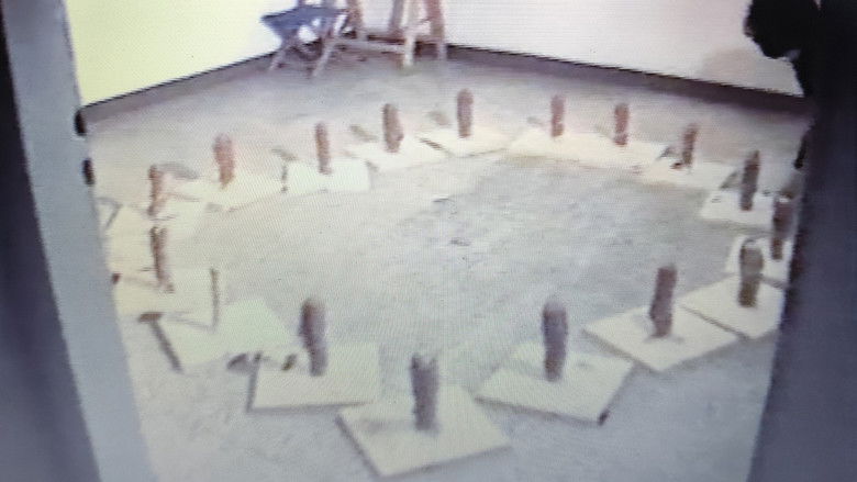 кадр из фильма Sublime & Perverso