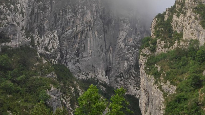 кадр из фильма Overdon