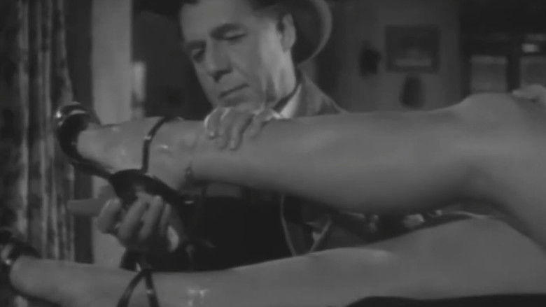 кадр из фильма Sensualidad