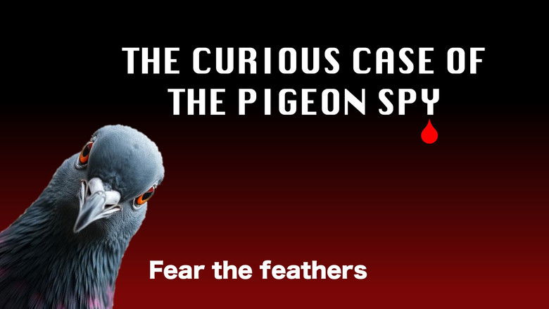 кадр из фильма The Curious Case of the Pigeon Spy