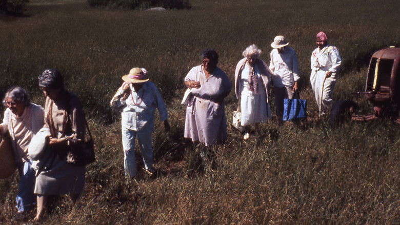 кадр из фильма The Company of Strangers