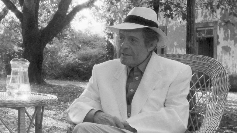 кадр из фильма Marcello Mastroianni - Mi ricordo, sì, io mi ricordo