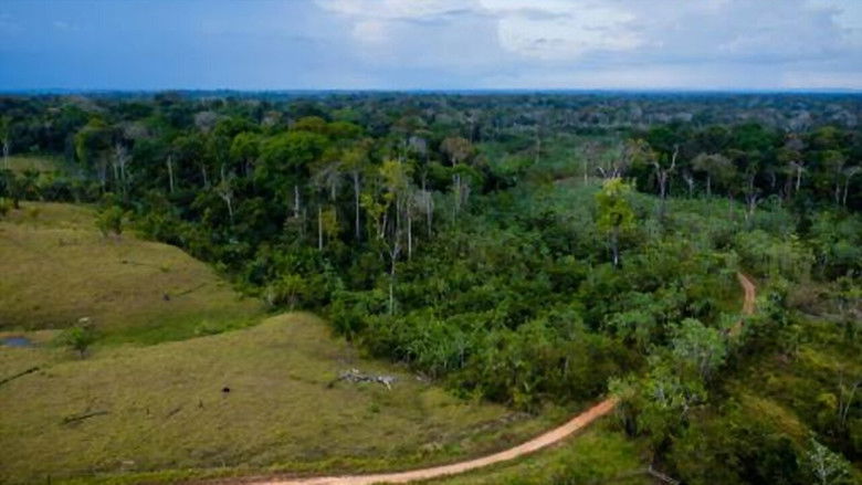 кадр из фильма BR Acima de Tudo