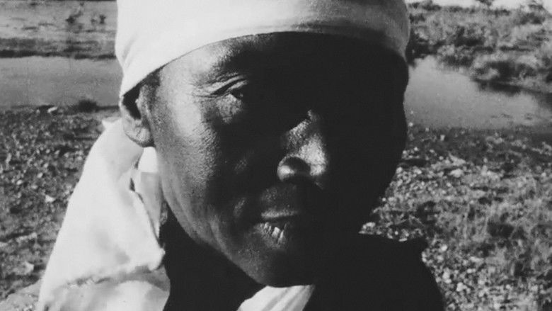 кадр из фильма Street Film Part IV