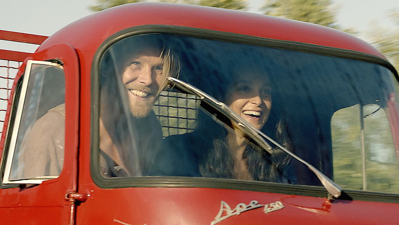 кадр из фильма Тюльпаны: любовь, честь и велосипед