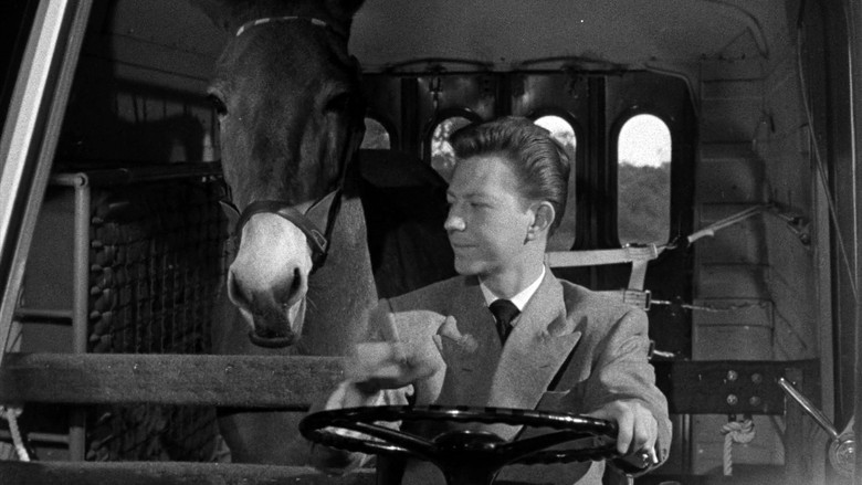 кадр из фильма Francis Goes to the Races