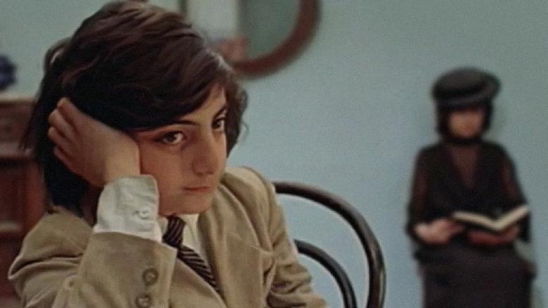 Парикмахер, у дяди которого дрессированный тигр отгрыз голову