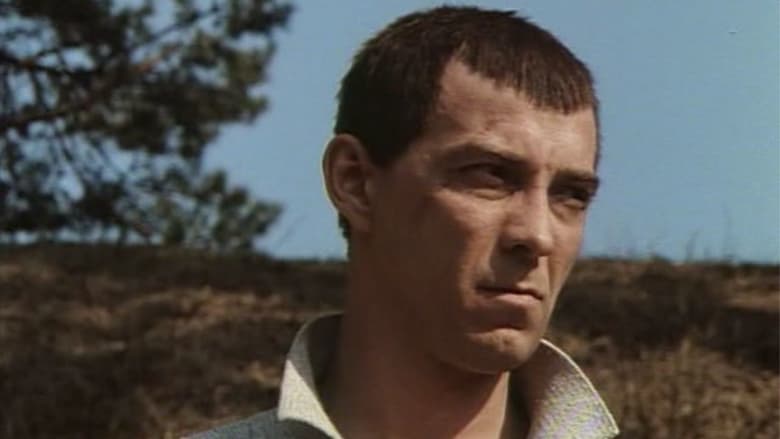 кадр из фильма Всё то, о чём мы так долго мечтали