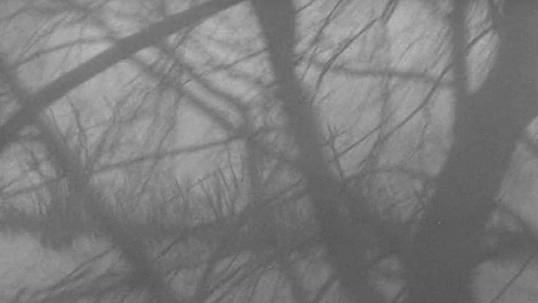 кадр из фильма Clay