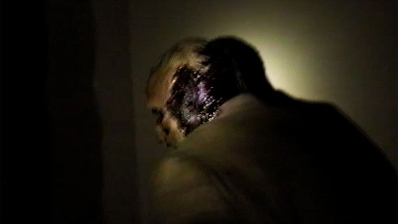 кадр из фильма Where We Lie