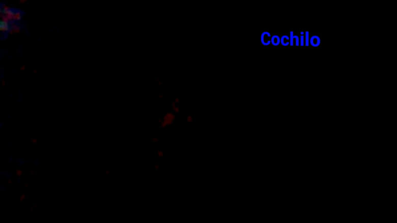 кадр из фильма Cochilo