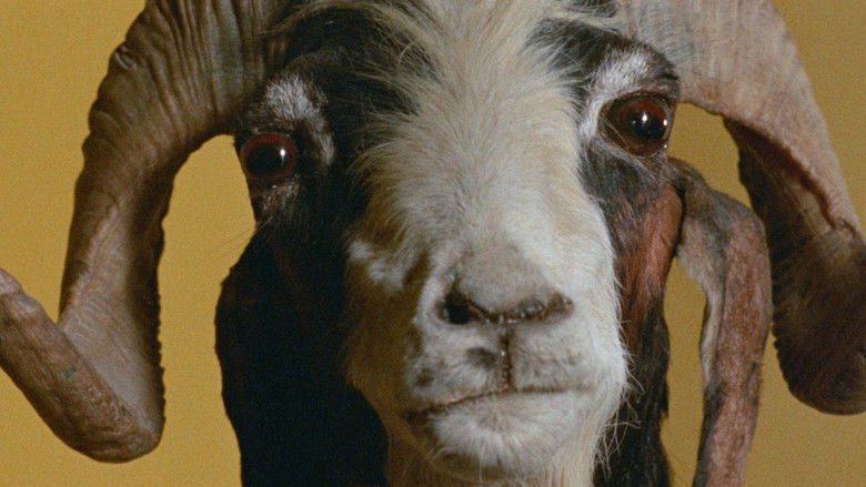 кадр из фильма Святая Гора