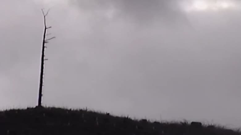 кадр из фильма Quiet Remains