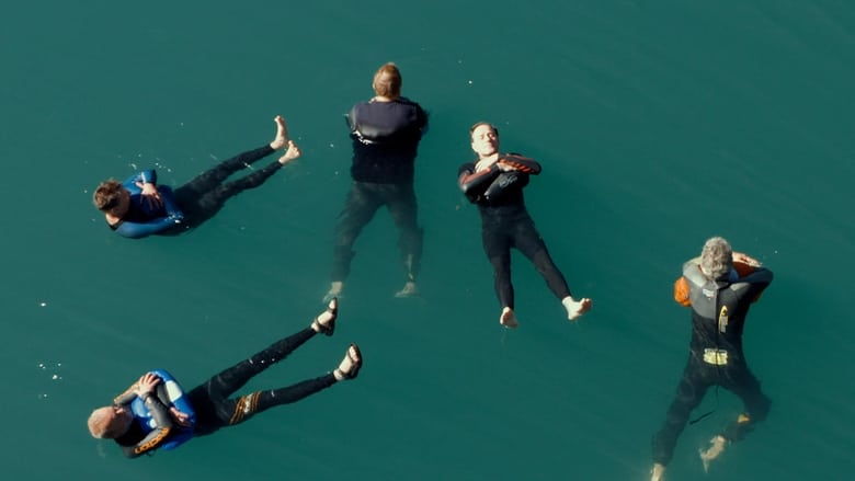 кадр из фильма Tscharniblues II