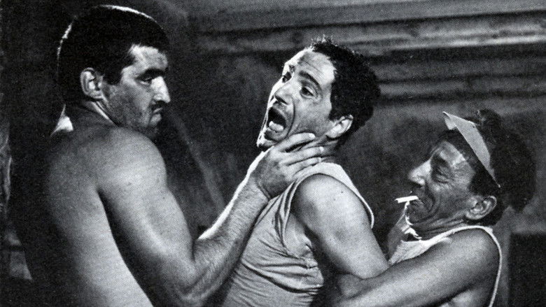 кадр из фильма Верхом на тигре