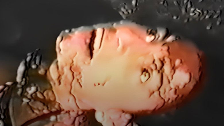 кадр из фильма Vermilion Eyes