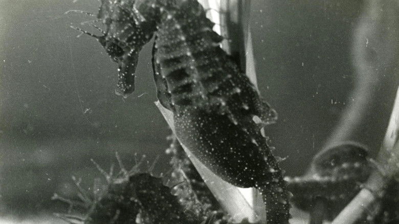 кадр из фильма The Sounds of Science