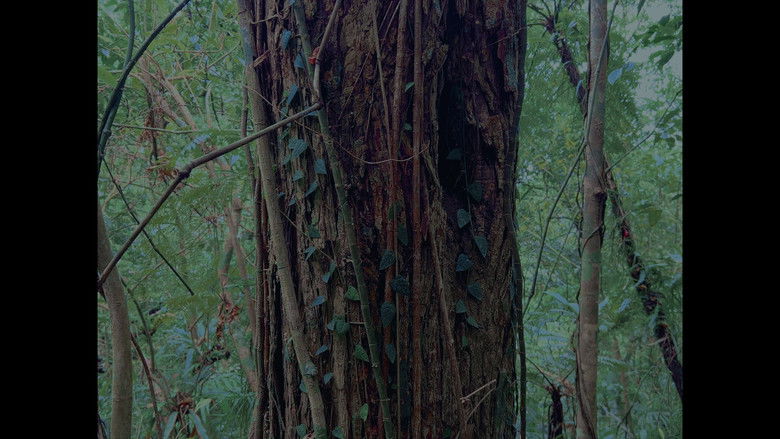 кадр из фильма Old World