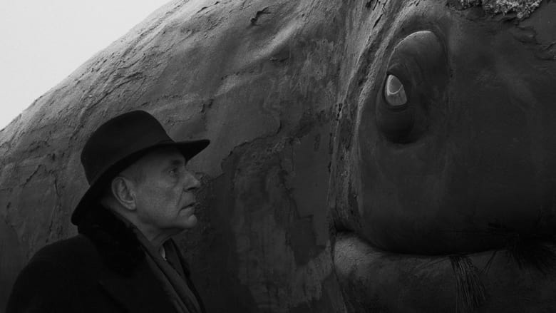 кадр из фильма Гармонии Веркмейстера