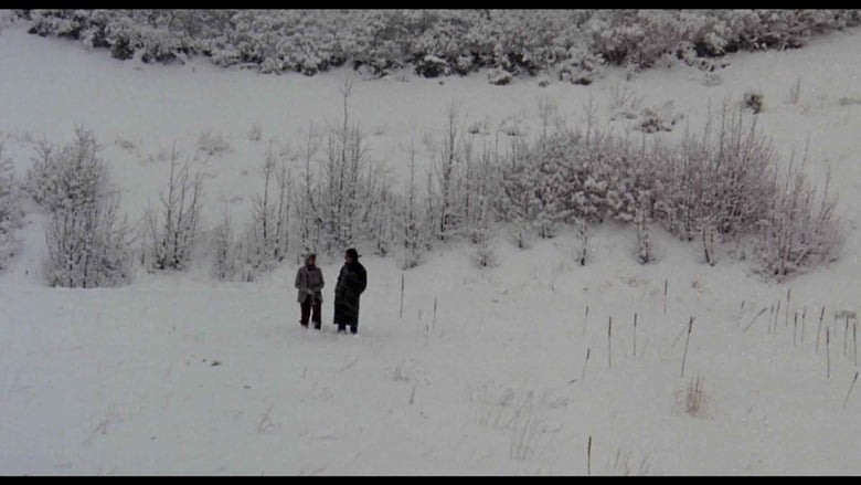 кадр из фильма Chilly Scenes of Winter