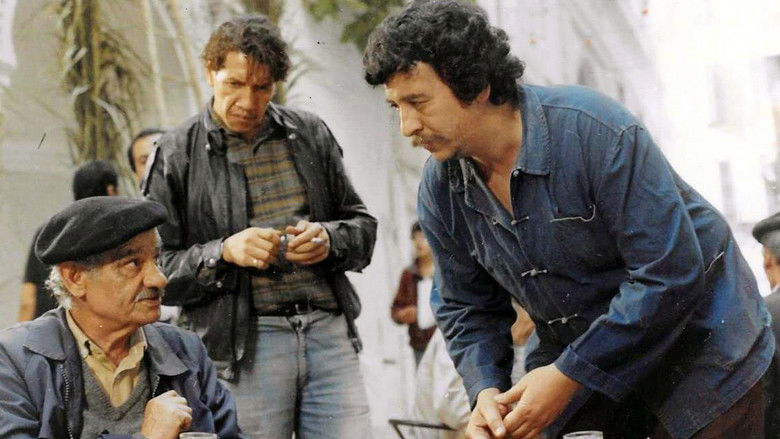 кадр из фильма Lumières