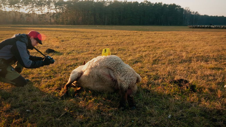 кадр из фильма Im Land der Wölfe