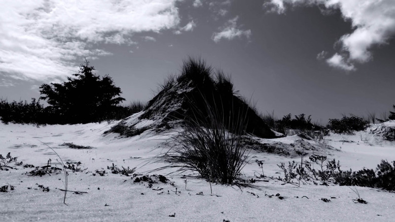 кадр из фильма The Mouth