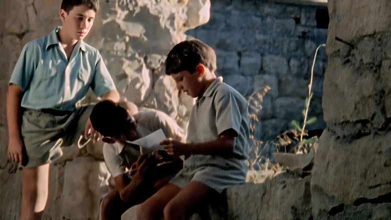 кадр из фильма מחבואים