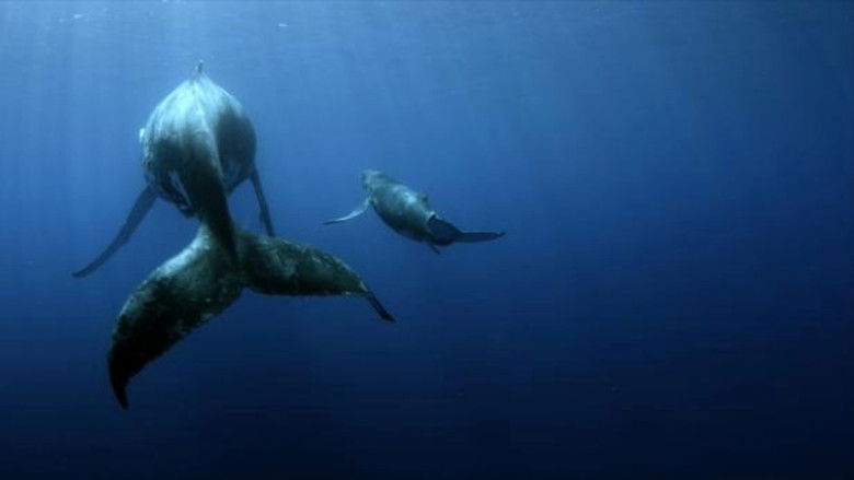 кадр из фильма Sonic Sea