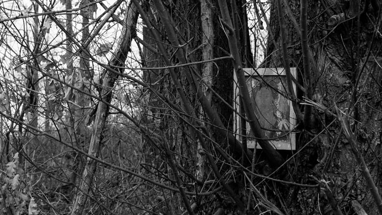 кадр из фильма Dig