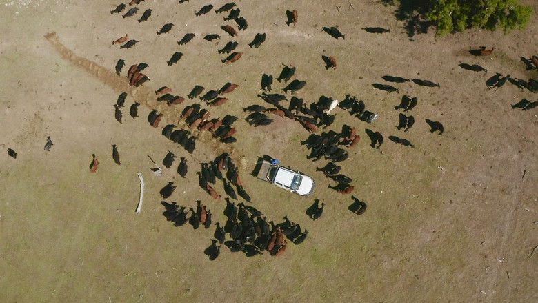 кадр из фильма Alone Out Here