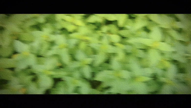 кадр из фильма Wandering: The Art of Noticing