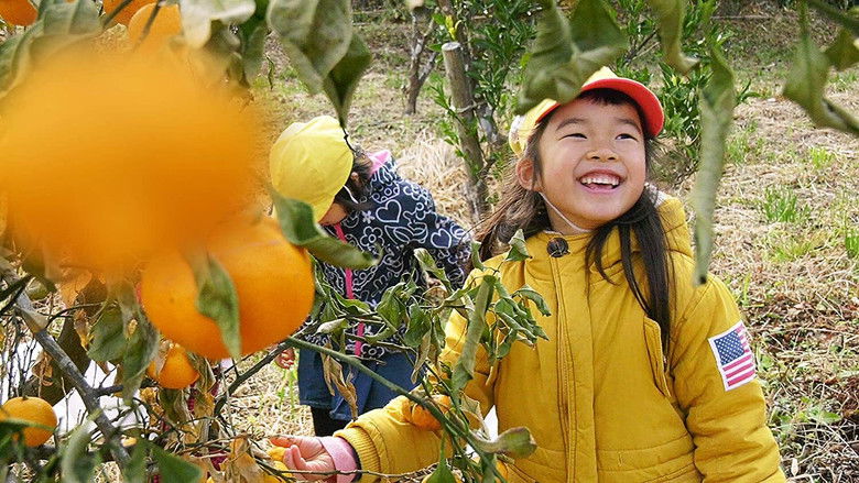 кадр из фильма 春を告げる町