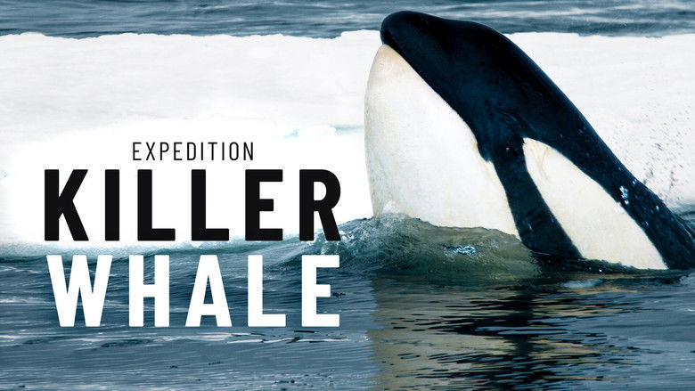 кадр из фильма Expedition Killer Whale