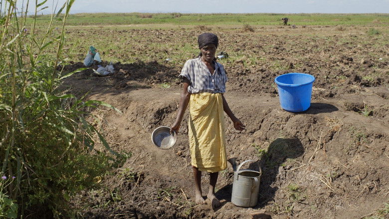 кадр из фильма Les Dépossédés