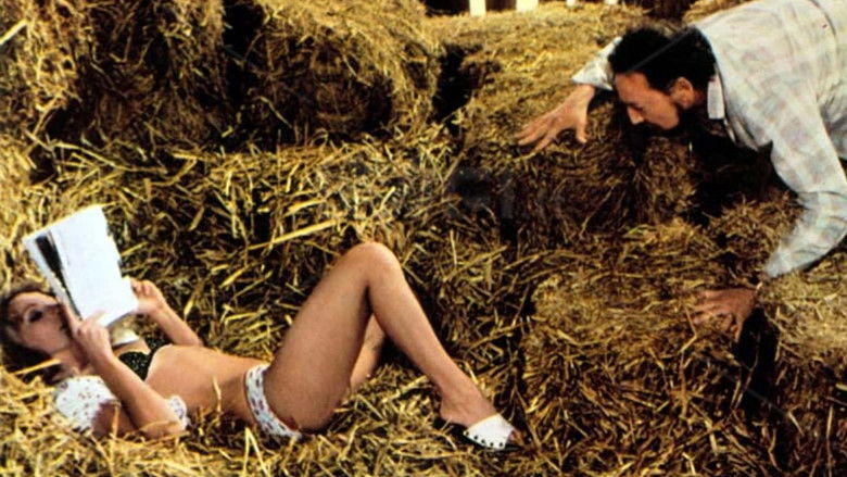 кадр из фильма Una vergine in famiglia