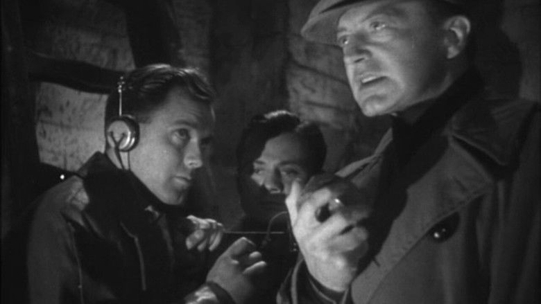 кадр из фильма Freedom Radio