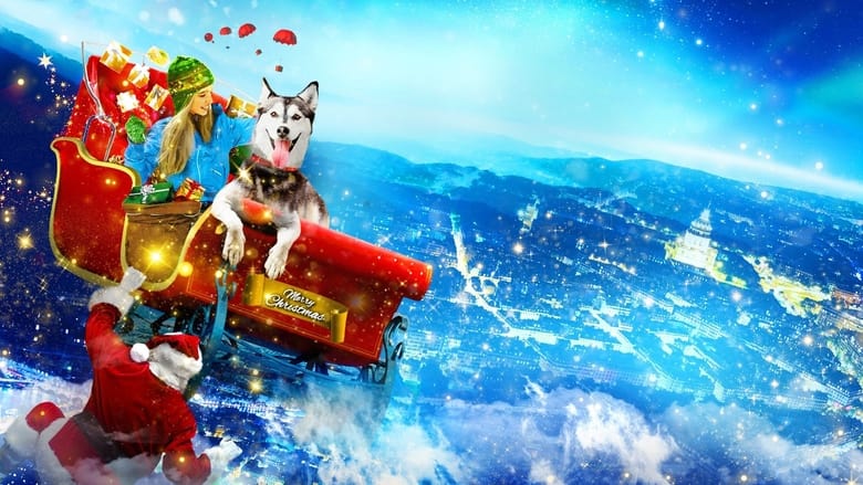 кадр из фильма A Dog for Christmas