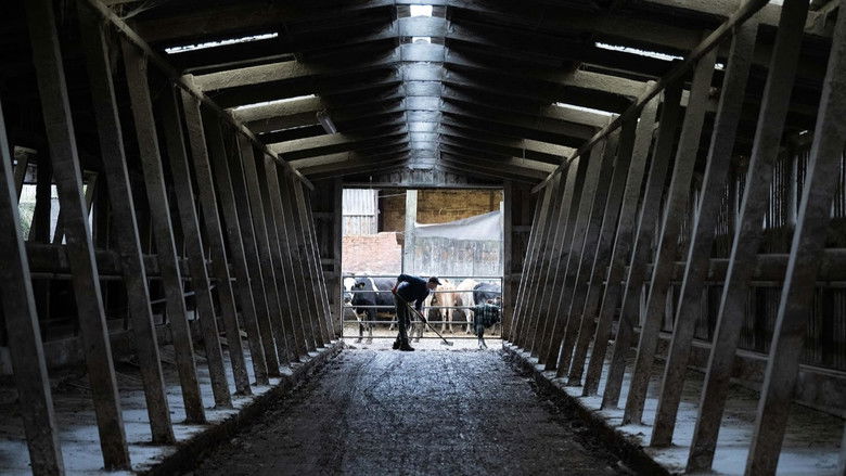 кадр из фильма Wake