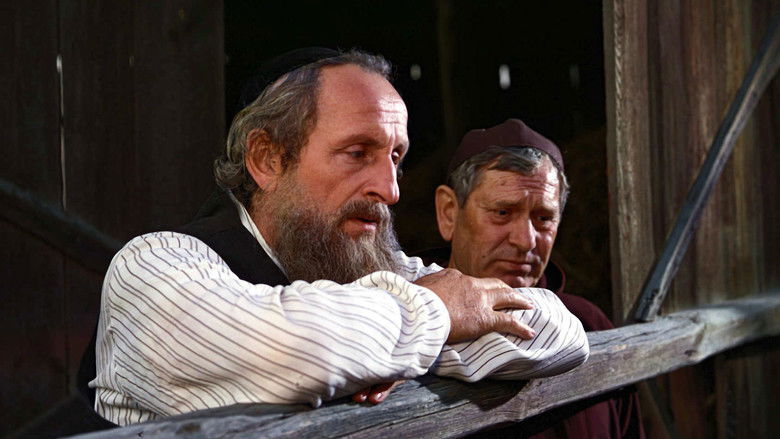 кадр из фильма Аустерия