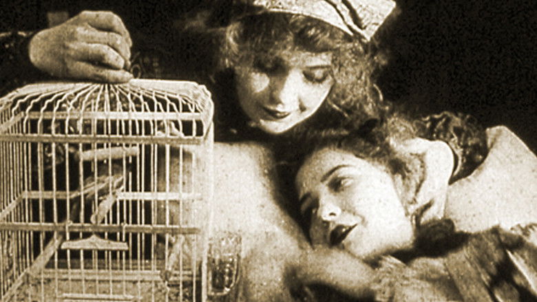 The Lady and the Mouse