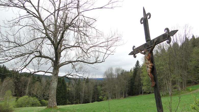 кадр из фильма Šumava Vladimíra Horpeniaka