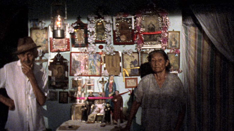 кадр из фильма Viajo Porque Preciso, Volto Porque Te Amo