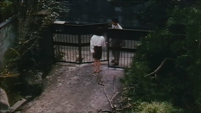 кадр из фильма 拷問水責め