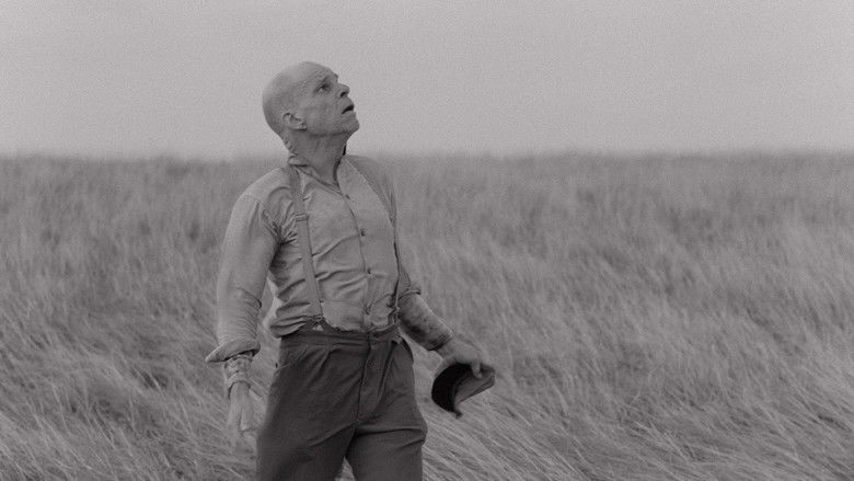 кадр из фильма Värn