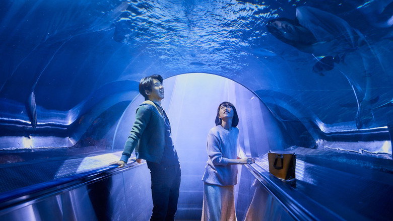 кадр из фильма 你的情歌