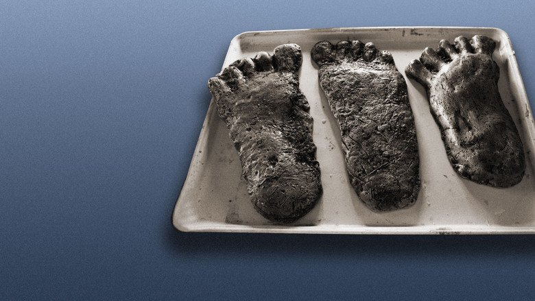 кадр из фильма Hunt for the Abominable Snowman