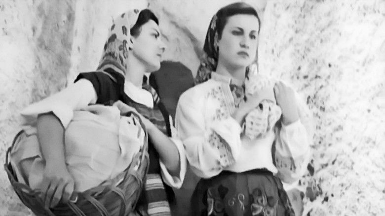 кадр из фильма Μαύρη Γη